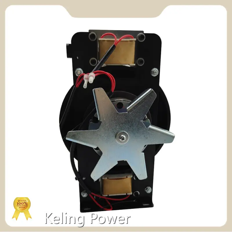 Keling Power Electric Motor Electric Motorfrom China 1