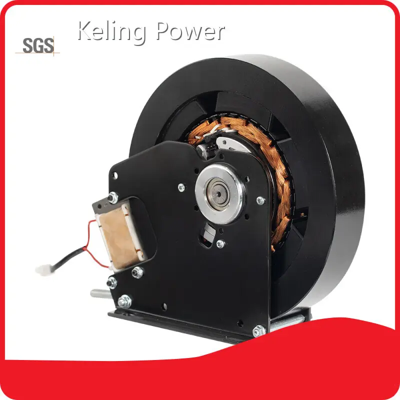 Professional 16 Inch Wheel Hub Motor with Custom Services 1