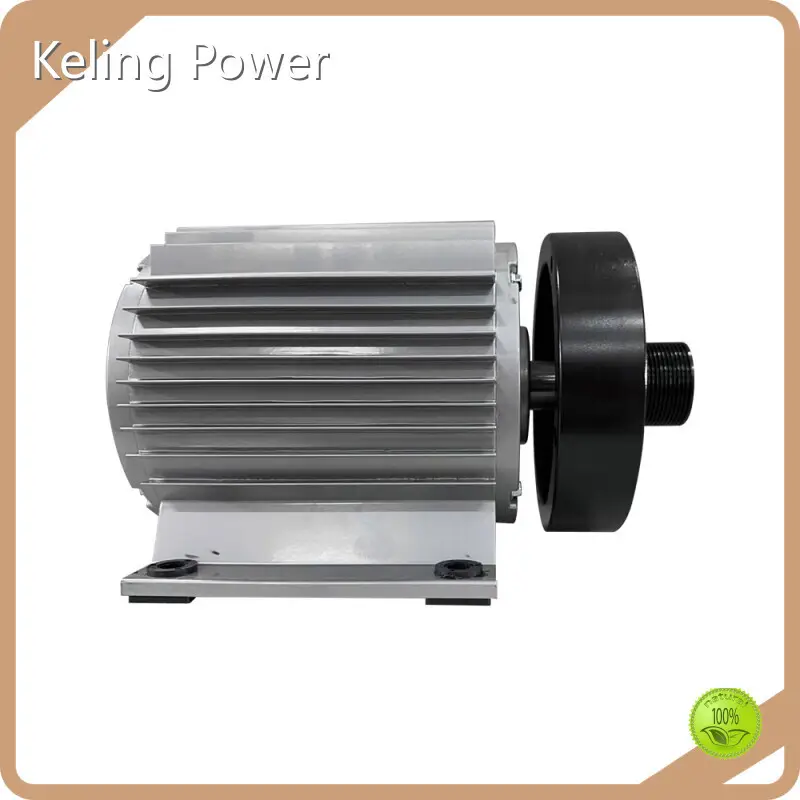 Custom3000w Hub Motor 1