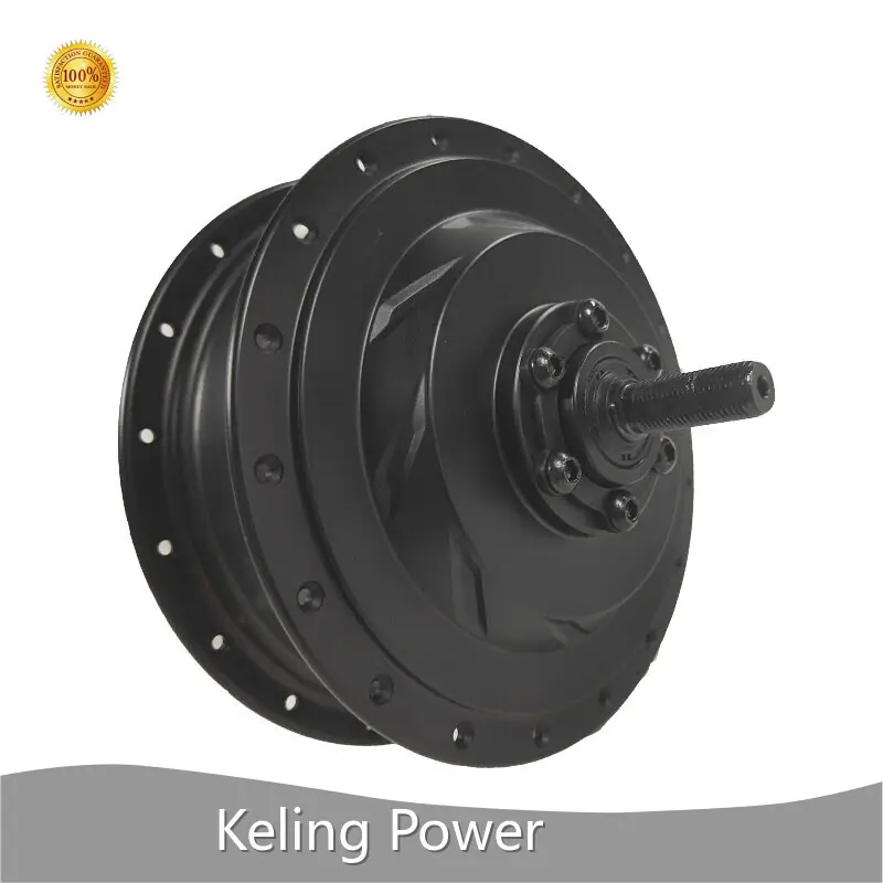 Quality Ebike Geared Hub Motor Supplier 1