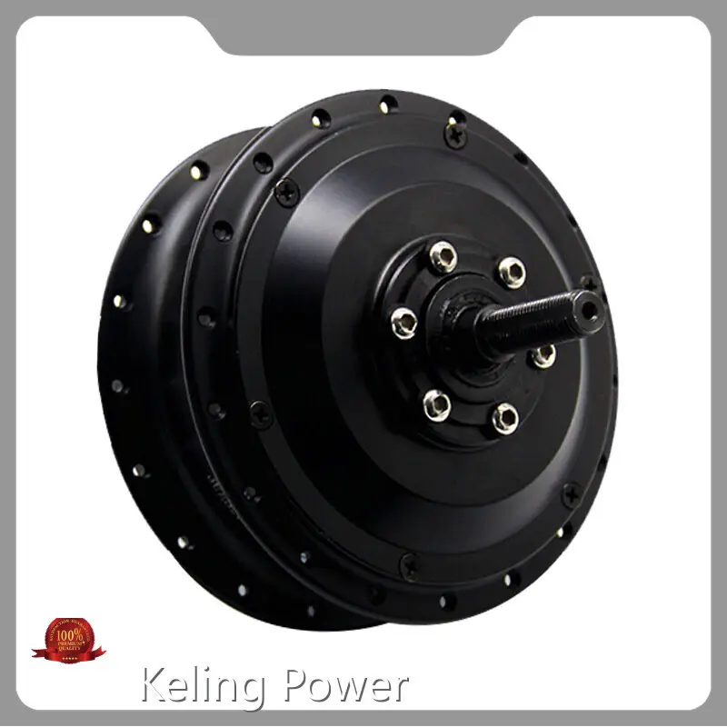 High End Hub Motor Hub Motor Company 1