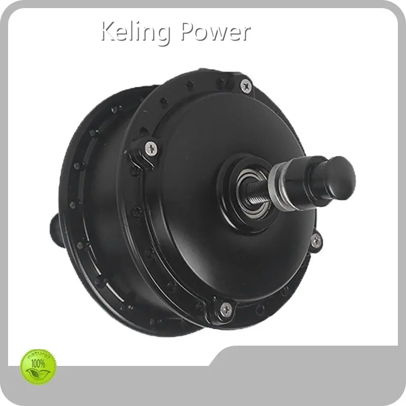 Cost-Effective 2000w Electric Bike Motor Made in China 1