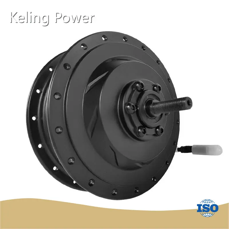 Reliable 2000w Electric Bike Motor Factory 1