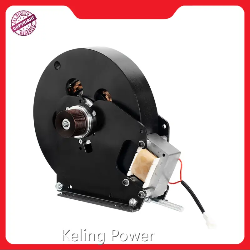 Professional Brushless Dc Electric Motor Price List 1