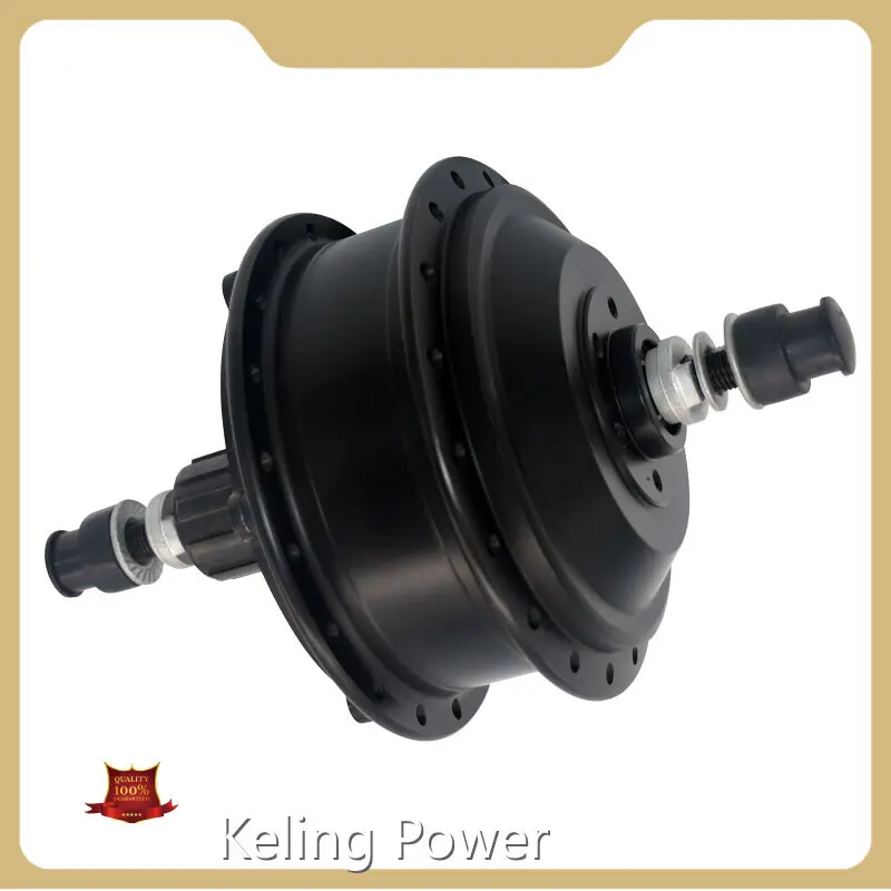 16 Inch Wheel Hub Motor Factory 1