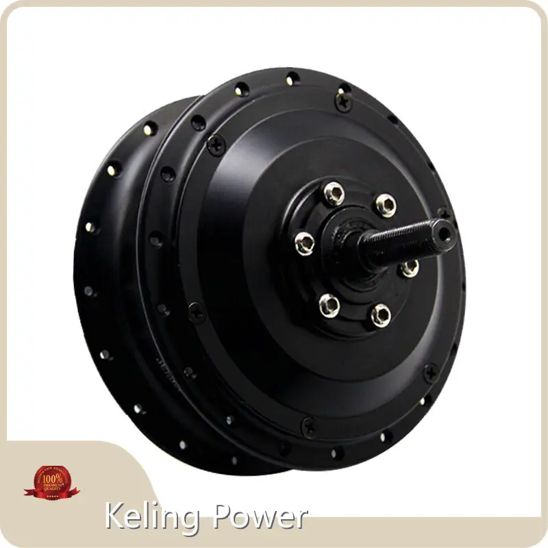 Professional Hub Motor with Custom Services 1
