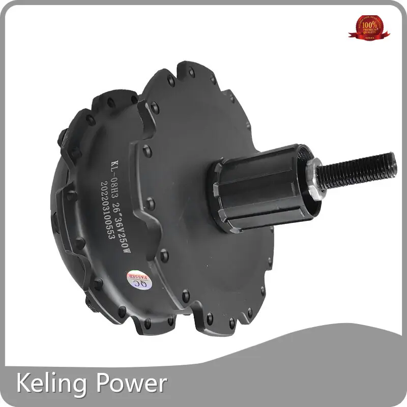 E Bicycle Hub Motor Factory Price 1