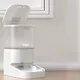 Custom Smart Feeder Blessing 5