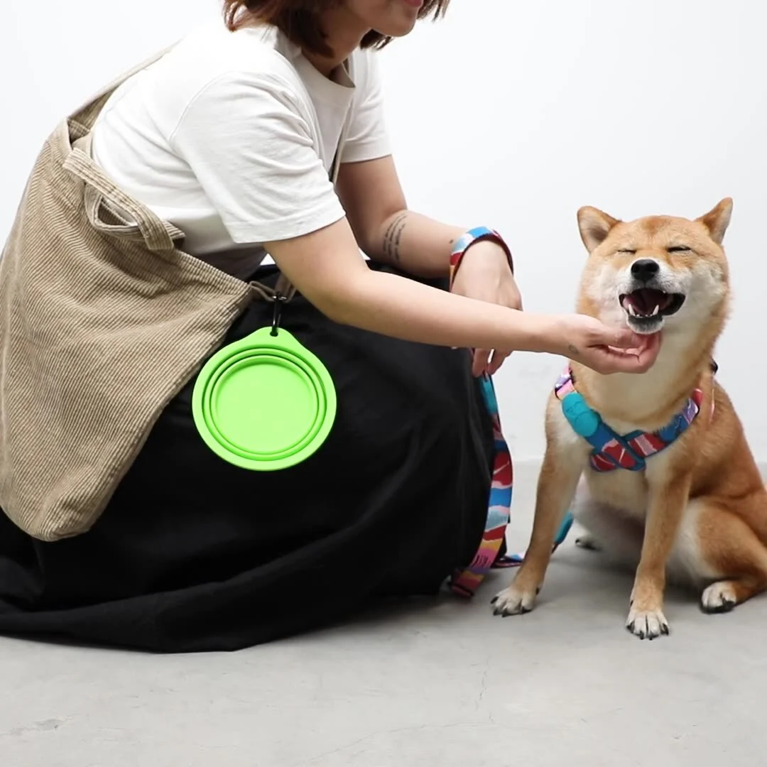 Dog Feeding Machine Bulk Buy Blessing 3