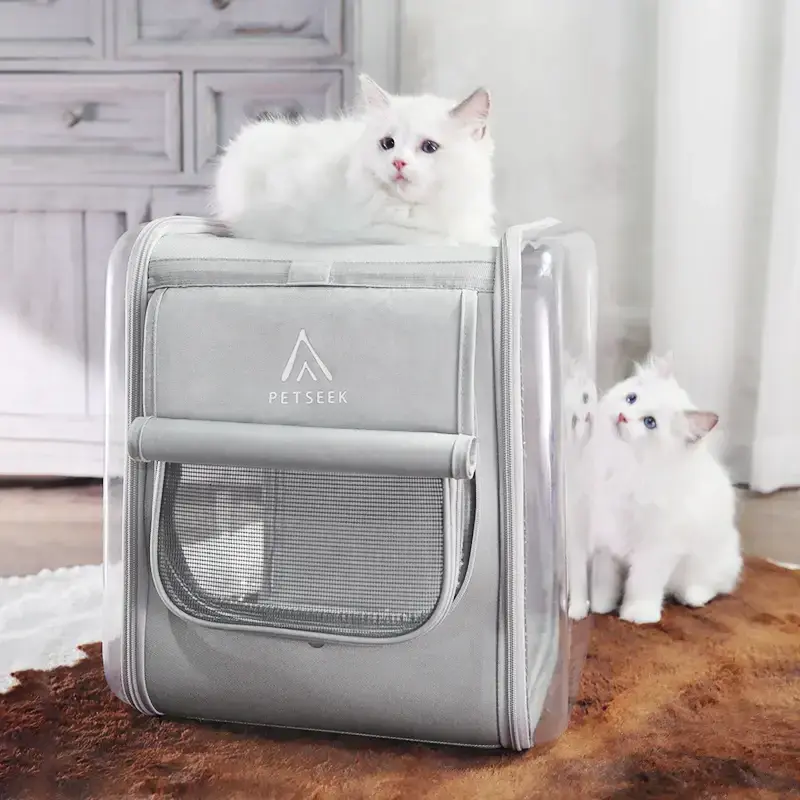 High-quality Cat Mesh Backpack Blessing Manufacture 5