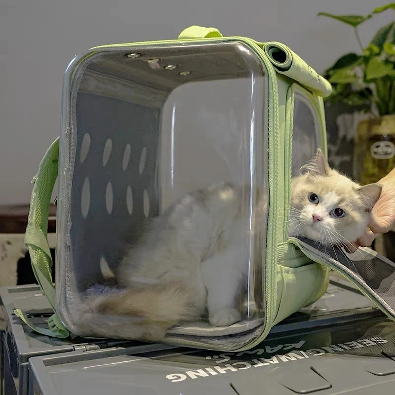 High-quality Cat Mesh Backpack Blessing Manufacture 2