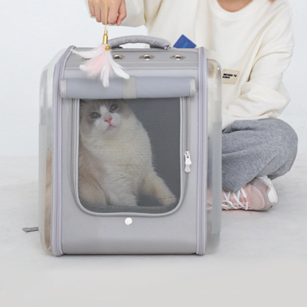High-quality Cat Mesh Backpack Blessing Manufacture 6