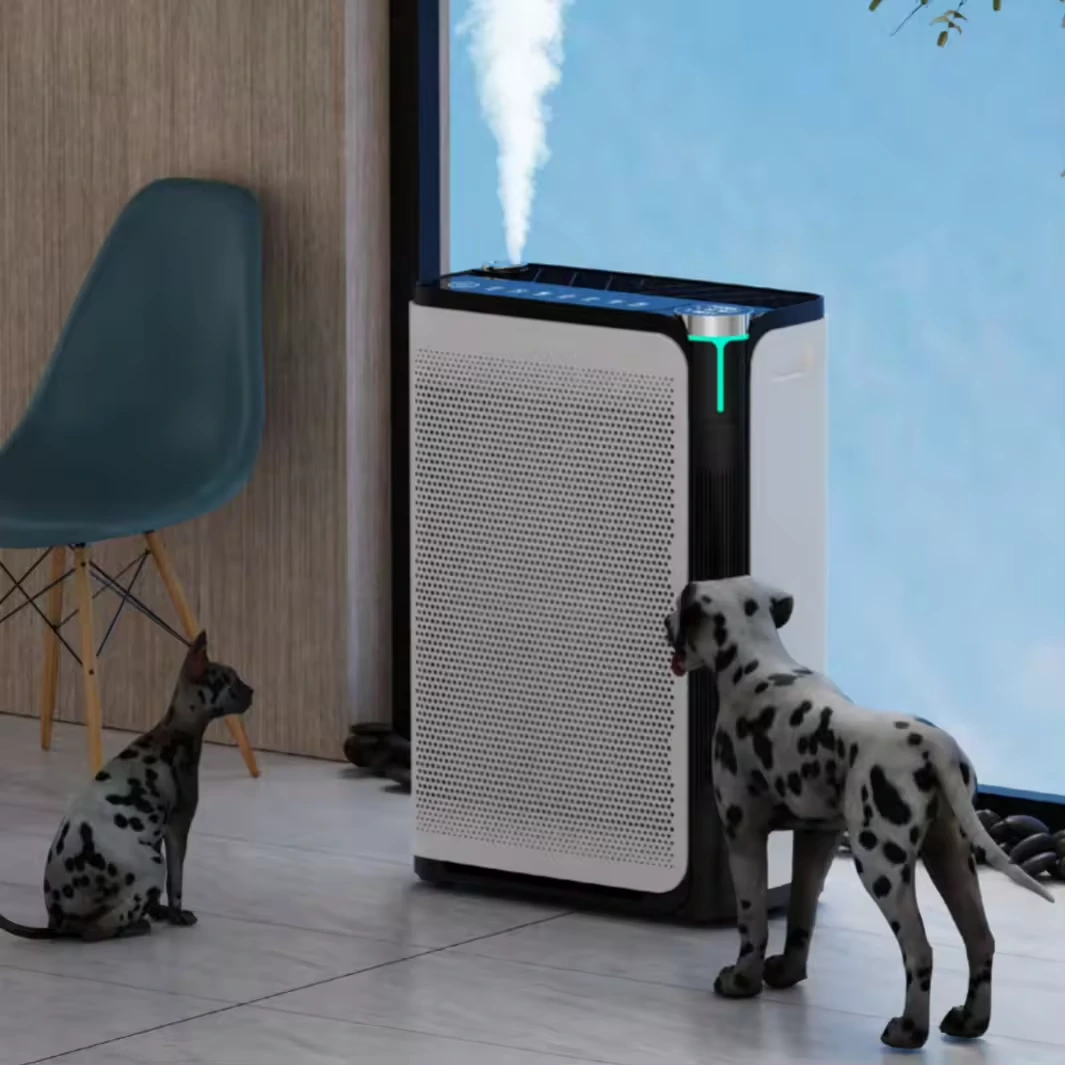 Top Best Pet Dryer Blessing Company 6