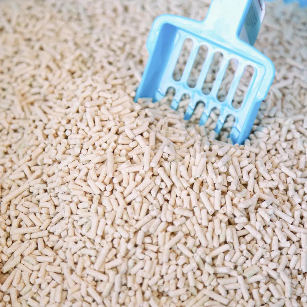 Blessing Buy Cat Litter Wholesale Suppliers 7