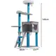 Wholesale Dog Supplies - - Blessing 2