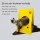 Wholesale Extra Large Dog Tent Bed Suppliers 3