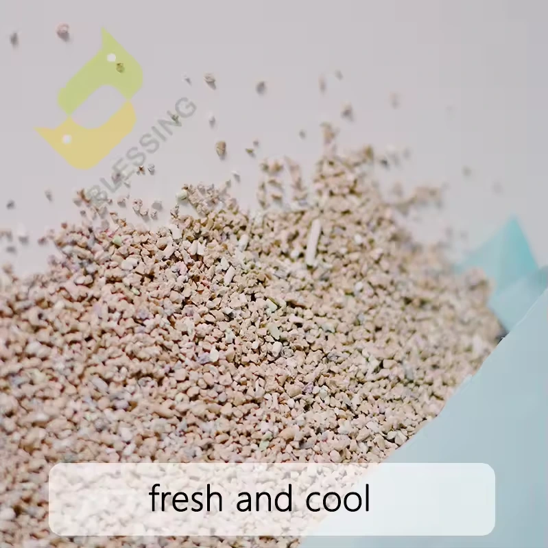 Latest Kitty Litter Manufacturers Factory 7