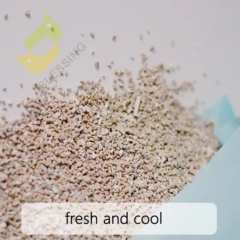 Latest Kitty Litter Manufacturers Factory 7