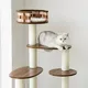 Wholesale Cat Supplies Bulk Buy Blessing 4