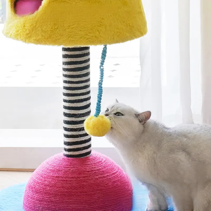 Custom Custom Cat House Blessing 4