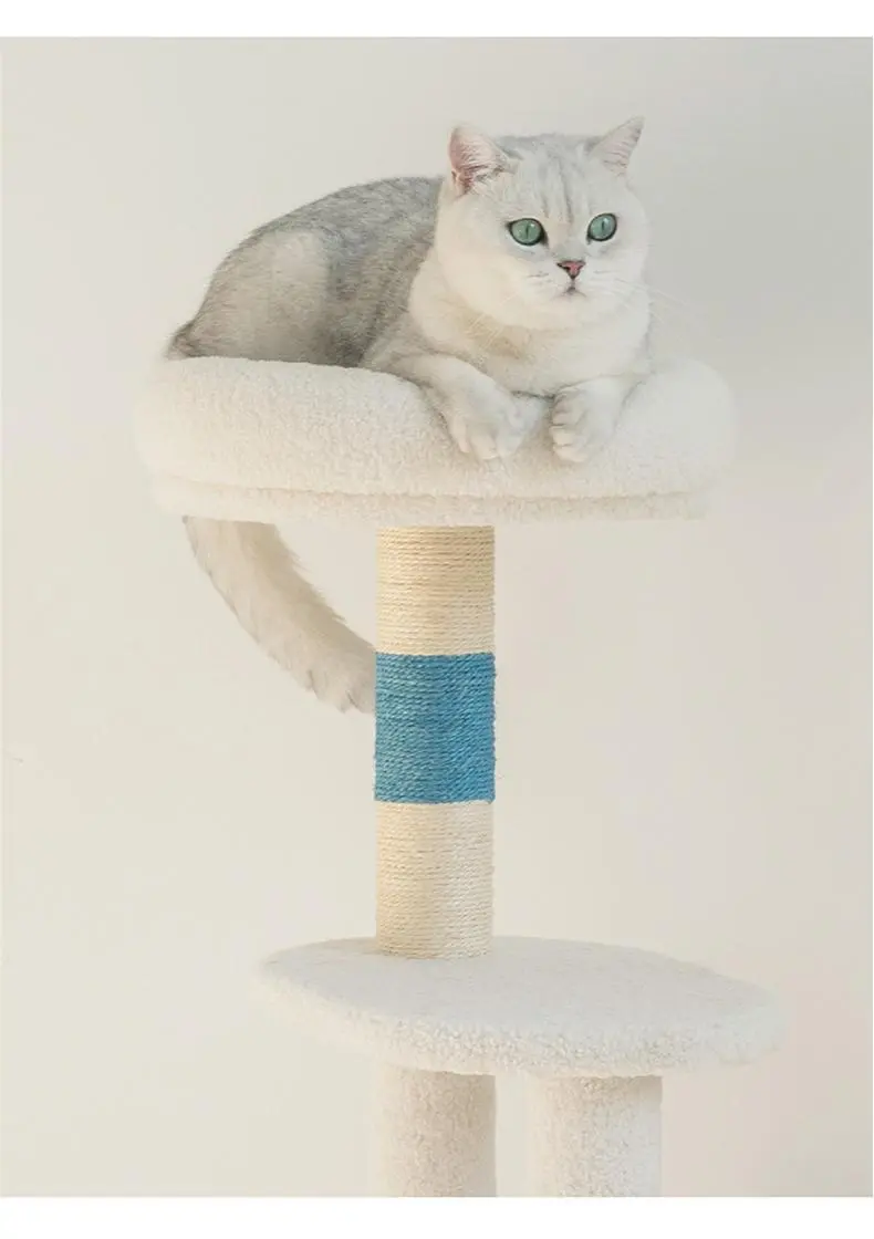 Wholesale Cat Supplies Blessing, 8