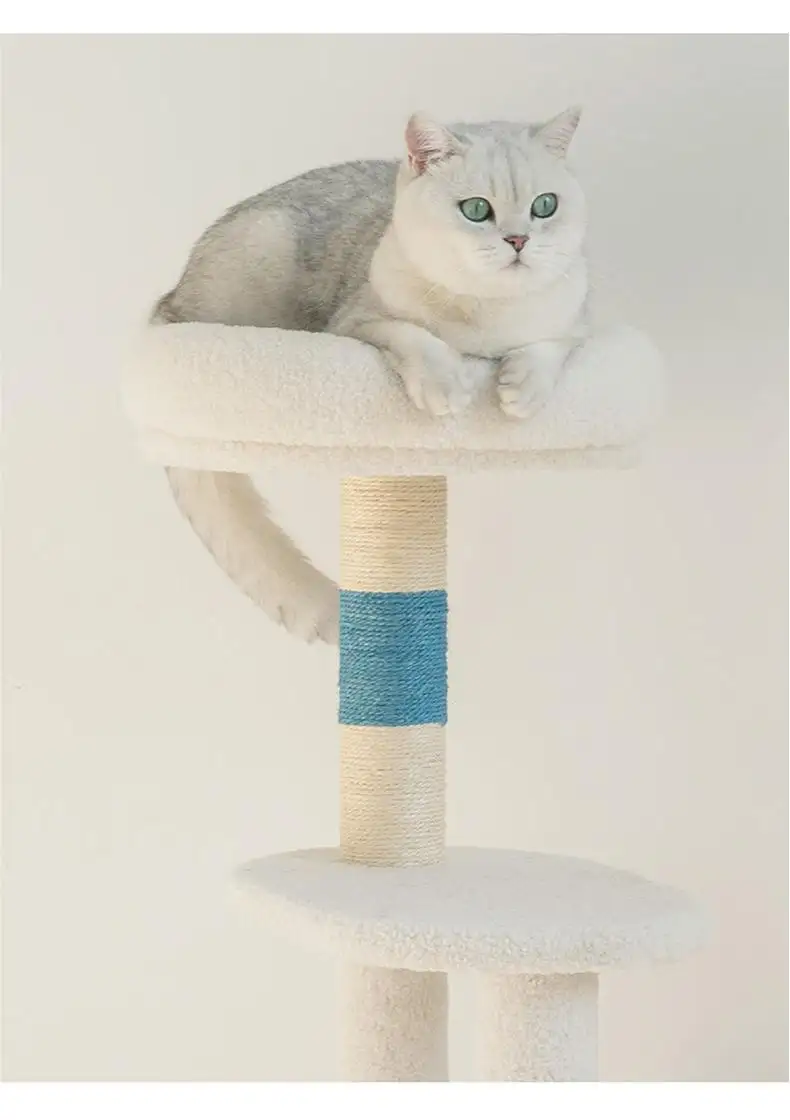 Wholesale Cat Supplies Blessing, 8