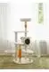 Wholesale Wholesale Cat Supplies Factory | Blessing 7