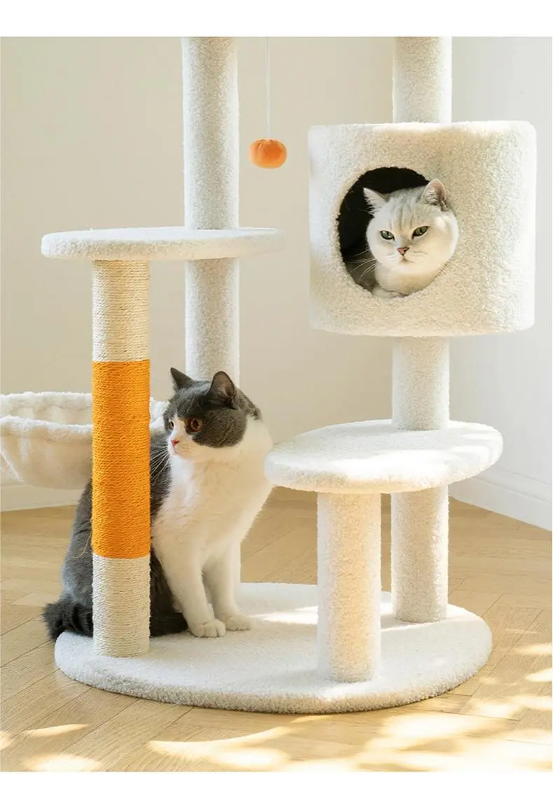 Wholesale Wholesale Cat Supplies Factory | Blessing 6