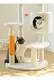 Wholesale Wholesale Cat Supplies Factory | Blessing 6