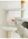 Wholesale Wholesale Cat Supplies Factory | Blessing 4