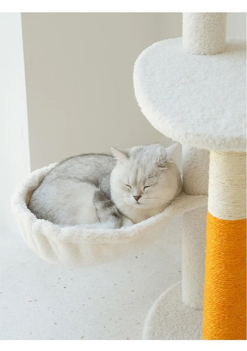 Wholesale Wholesale Cat Supplies Factory | Blessing 2
