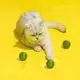 Wholesale Custom Dog Toys Blessing Company 3