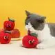 Blessing Wholesale Cat Supplies 5