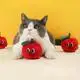 Blessing Wholesale Cat Supplies 4