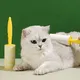 Pet Grooming Supplies for Dogs Blessing Company 2