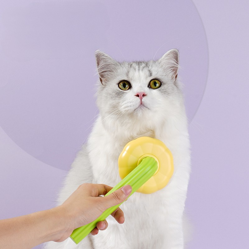 Blessing Pet Grooming Kit for Dogs Factory 2