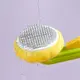 Blessing Pet Grooming Kit for Dogs Factory 5