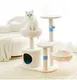 Wholesale Dog Supplies Blessing Brand Manufacturers 7