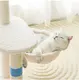 Wholesale Dog Supplies Blessing Brand Manufacturers 4