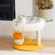 Indoor Dog House Blessing Brand 3