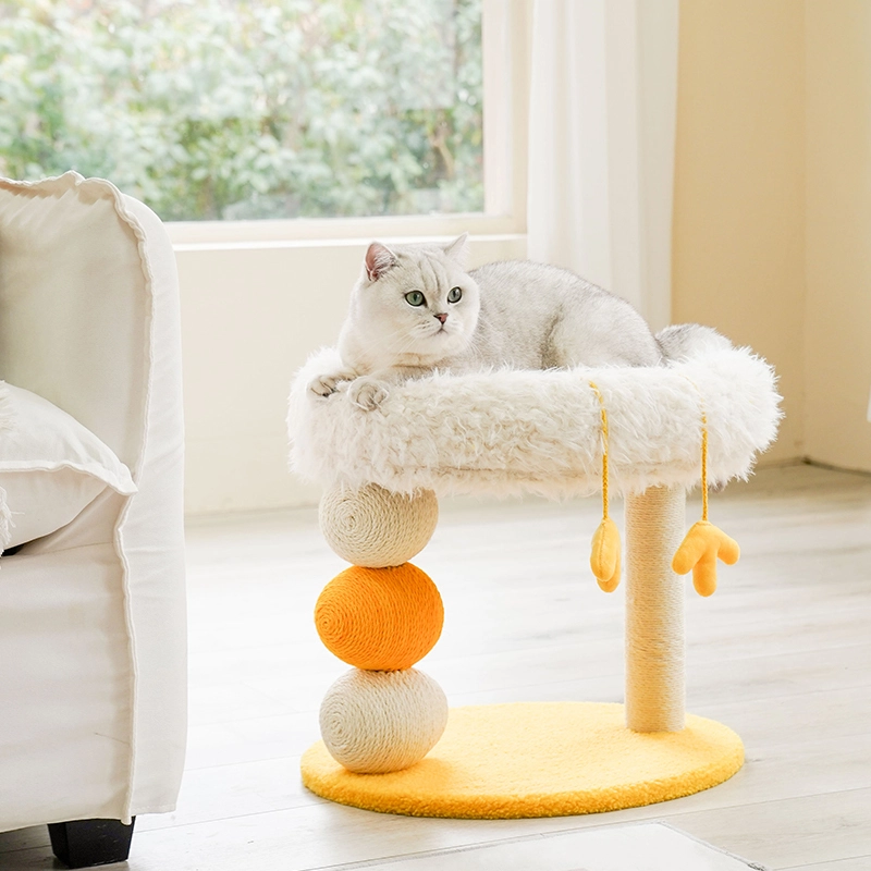 Indoor Dog House Blessing Brand 2
