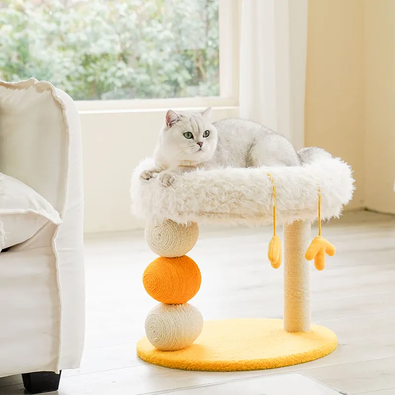 Indoor Dog House Blessing Brand 2