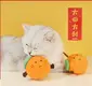 Latest Wholesale Dog Supplies Blessing Company 4