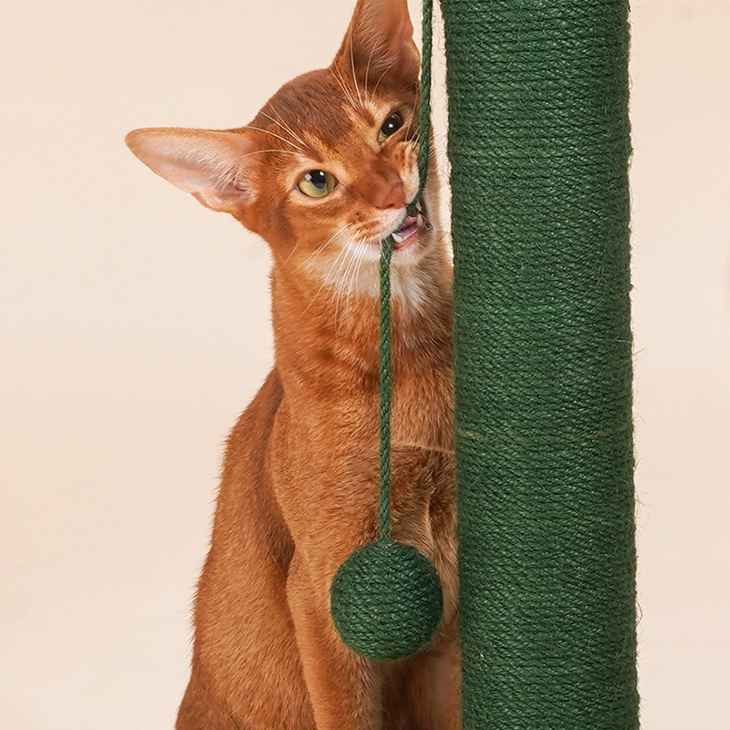 OEM Wholesale Cat Supplies Blessing Company 7