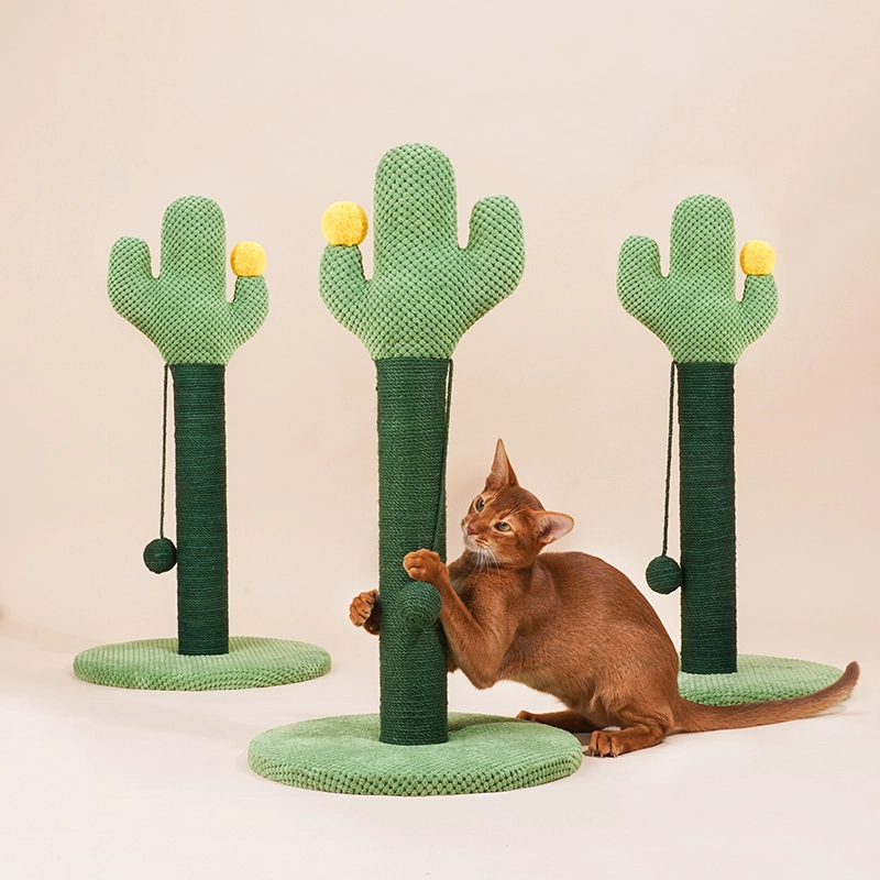 OEM Wholesale Cat Supplies Blessing Company 6