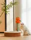 Custom Cat House Wholesale - Blessing 4