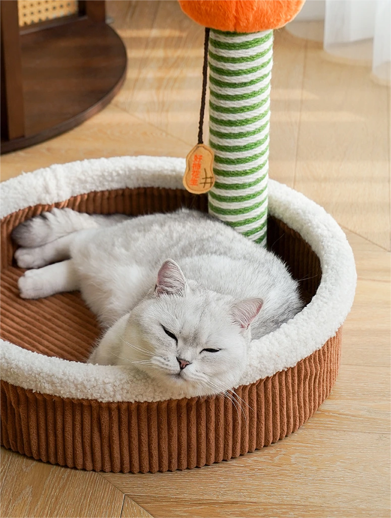 Custom Cat House Wholesale - Blessing 5