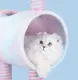 Large Dog Tent Bed Wholesale - Blessing 2
