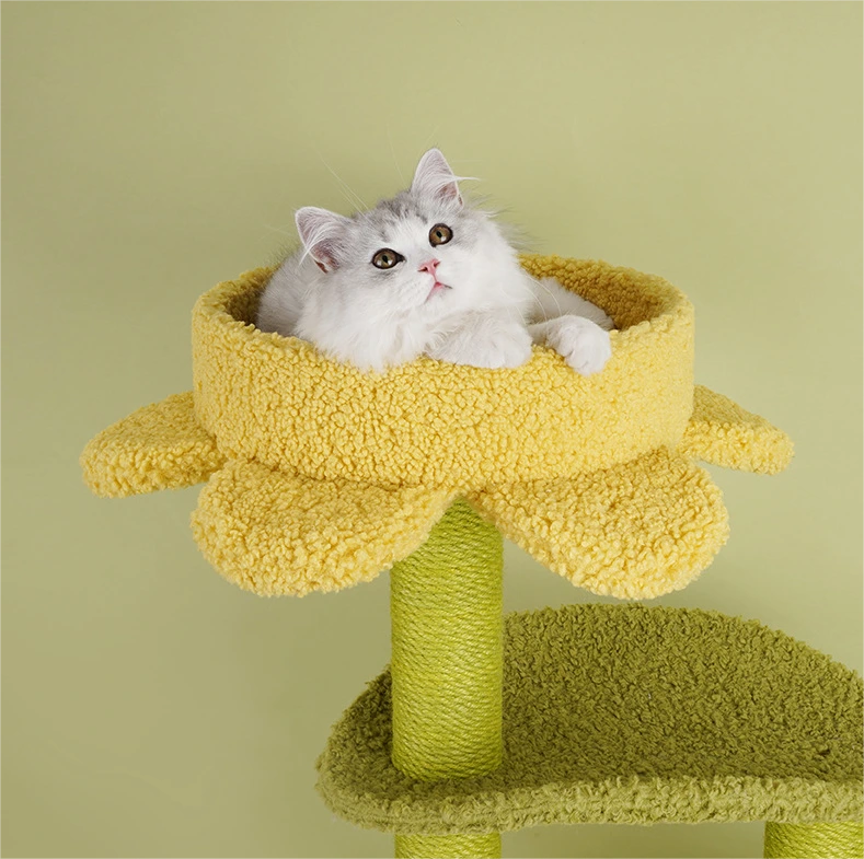 Dog Tent Bed - - Blessing 5