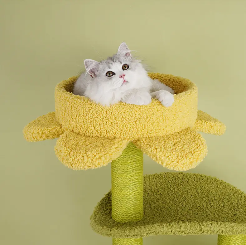 Dog Tent Bed - - Blessing 5